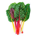 Blette de couleurs- bottes (Serres des Près) (copie)