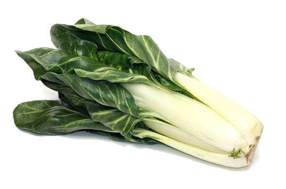 Blette bio - KG