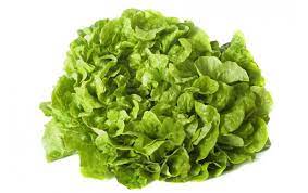 Salade bio - pièce