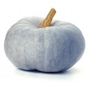 Courge bleue de Hongrie - kg (Ferme du Recueil)