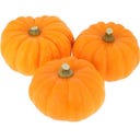 Courge Jack be little bio - kg