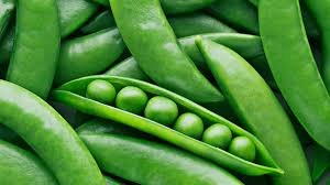 Petit pois bio - KG