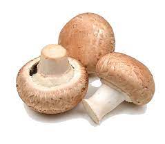 Champignon brun et blanc - Bio - Kg