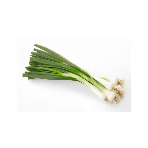 Cebette bio - botte