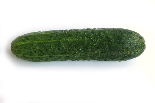 Concombre noa bio - KG