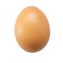 Oeufs bio - pièce (Ferme Catteau)