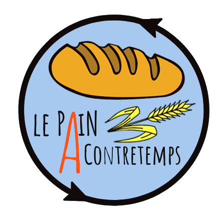Pain de Sophie BA Nature 500g - Pièce