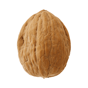 [0949] Noix Mayette - kg (Près Vergers de Pierre)